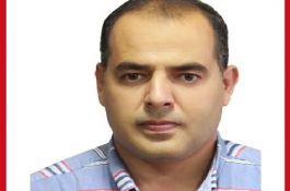 الأستاذ محمود حنفي