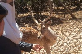 رحلة الأردن الأولى 2016