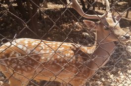 رحلة الأردن الأولى 2016