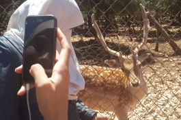 رحلة الأردن الأولى 2016