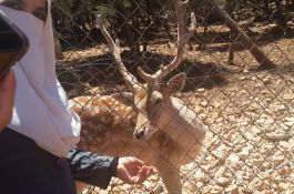 رحلة الأردن الأولى 2016