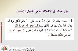 اللاجئون الفلسطينيون 