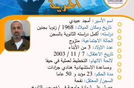 مشاعل الحرية
